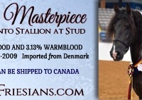 Canadian Friesian Horse Ad