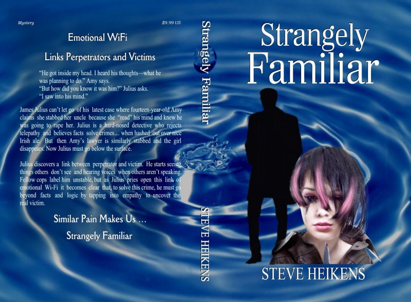 Visit author Steve Heikens at http://www.heikenslaw.com/