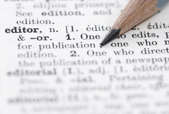Query & Synopsis